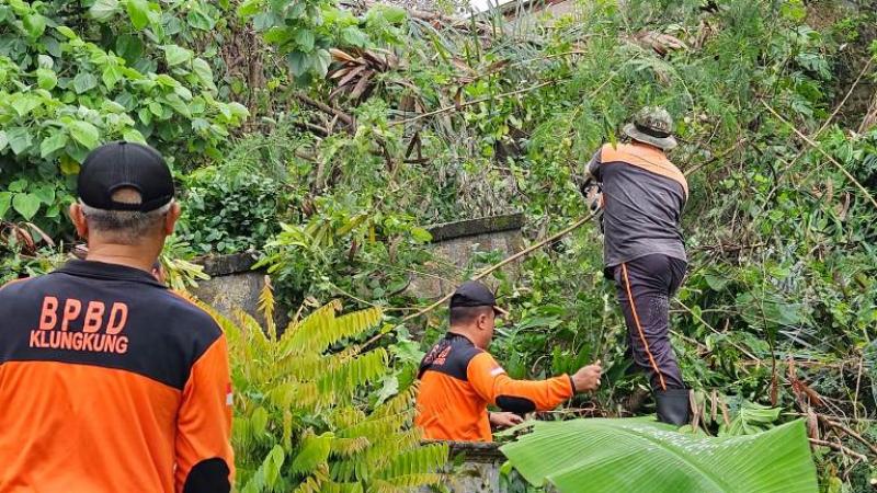 Tanah Longsor Timpa Pelinggih Penunggun Karang | Bali Tribune